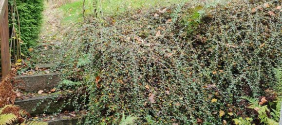 Casa de 3 dormitorios en Schaumburg, Germany No. 205000 42