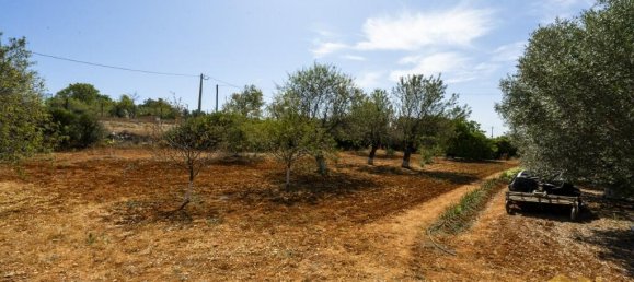 5 Schlafzimmer Villa in Pechao, Portugal, Nr. 218704 27