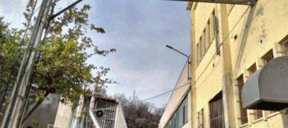 1429m² Warehouse in Vado Ligure, Italy No. 338838 10