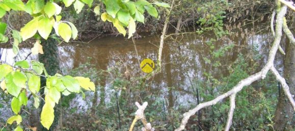 Casa T2 em Saint-Florent-sur-Cher, France N.º 155166 35