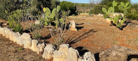 2غرفة منزل في Presicce Acquarica, Italy رقم 59362 2