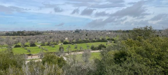 2غرفة منزل في Presicce Acquarica, Italy رقم 59362 14