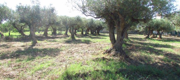 Grundstück in Sciacca, Italy 3730m², Nr. 282773 5