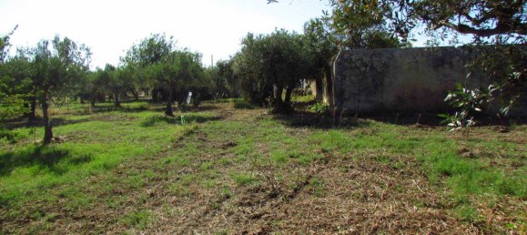 Grundstück in Sciacca, Italy 3730m², Nr. 282773 2