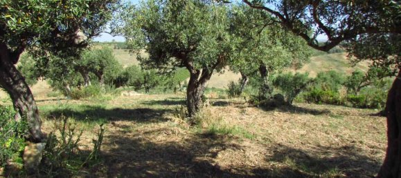 Grundstück in Sciacca, Italy 3730m², Nr. 282773 4