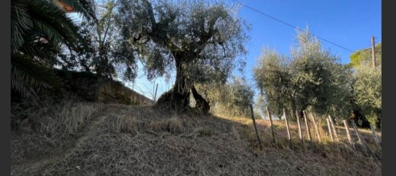 12 rooms House in Castiglione del Lago, Italy No. 255807 4