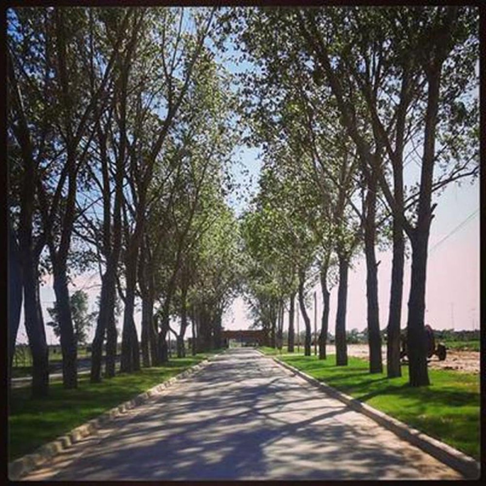  Land in Esteban Echeverria, Argentina No. 38830