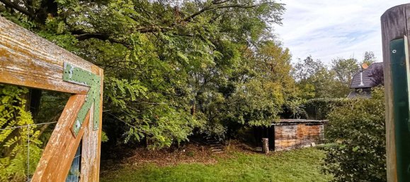 Land in Blumau-Neurisshof, Austria No. 243448 2