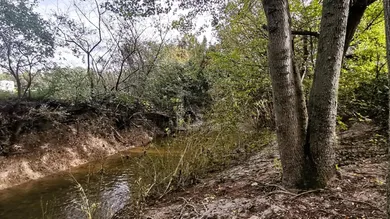  Land in Blumau-Neurisshof, Austria No. 243448