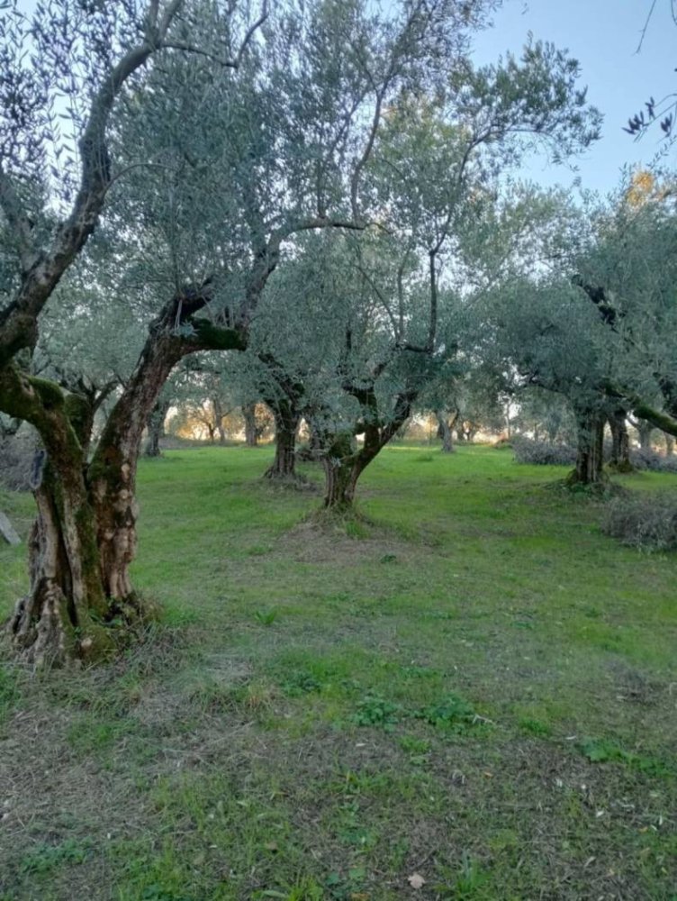 Terrain à Ripi, Italy 1316m² No. 175575