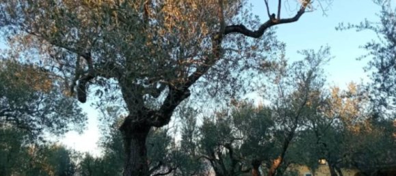 Terrain à Ripi, Italy 1316m² No. 175575 3