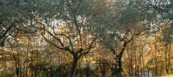 Terrain à Ripi, Italy 1316m² No. 175575 4