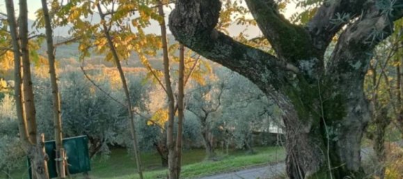 Terrain à Ripi, Italy 1316m² No. 175575 7