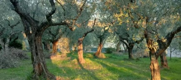 Terrain à Ripi, Italy 1316m² No. 175575 9