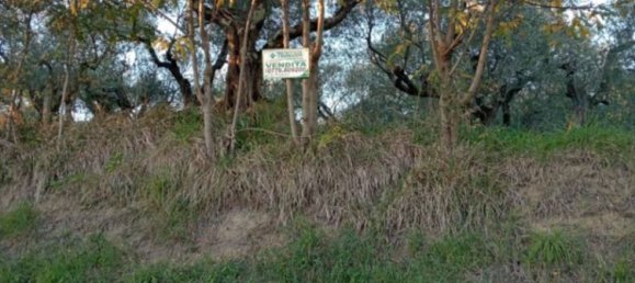 Terrain à Ripi, Italy 1316m² No. 175575 10