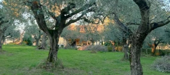 Terrain à Ripi, Italy 1316m² No. 175575 6