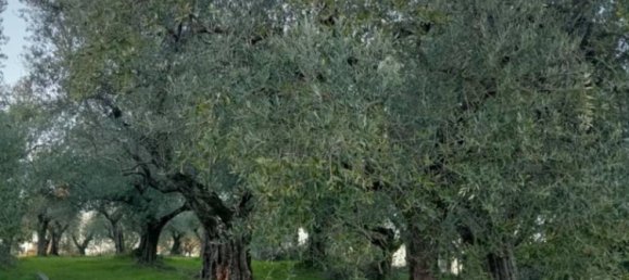 Terrain à Ripi, Italy 1316m² No. 175575 5