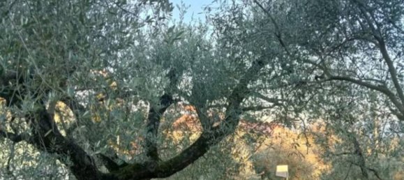 Terrain à Ripi, Italy 1316m² No. 175575 8