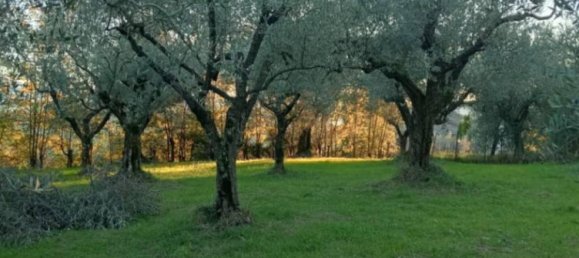 Terrain à Ripi, Italy 1316m² No. 175575 2