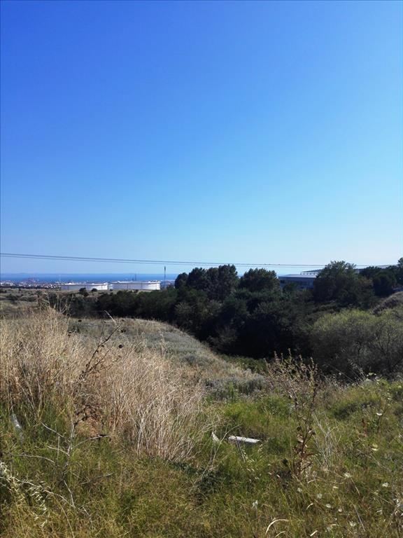 37500m² Hotel in Evosmos, Greece No. 7060