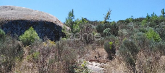 قطعة أرض في Travanca de Lagos, Portugal 4500متر مربع رقم 89988 10