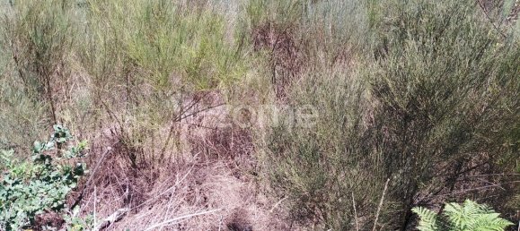 قطعة أرض في Travanca de Lagos, Portugal 4500متر مربع رقم 89988 7