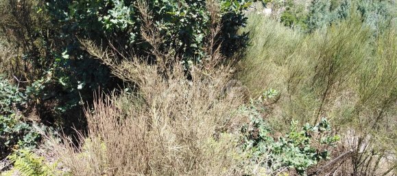 قطعة أرض في Travanca de Lagos, Portugal 4500متر مربع رقم 89988 9