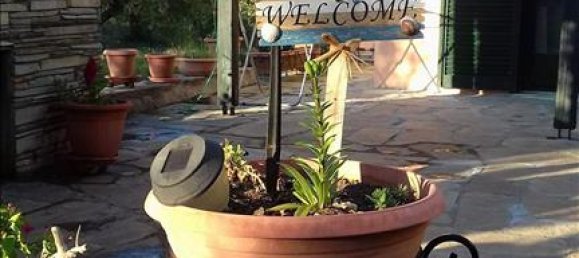 3 chambres Propriété commerciale à Chalkidiki, Greece No. 6032 8