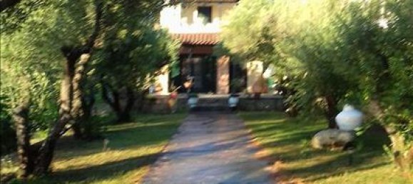 3 chambres Propriété commerciale à Chalkidiki, Greece No. 6032 10