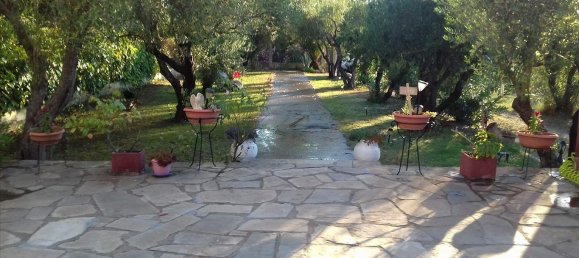 3 chambres Propriété commerciale à Chalkidiki, Greece No. 6032 3