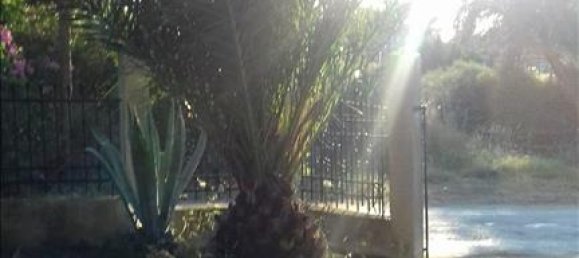 3 chambres Propriété commerciale à Chalkidiki, Greece No. 6032 11