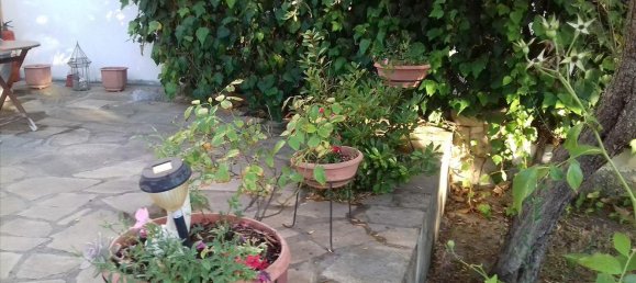 3 chambres Propriété commerciale à Chalkidiki, Greece No. 6032 6