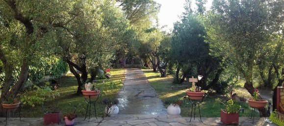 3 chambres Propriété commerciale à Chalkidiki, Greece No. 6032 4