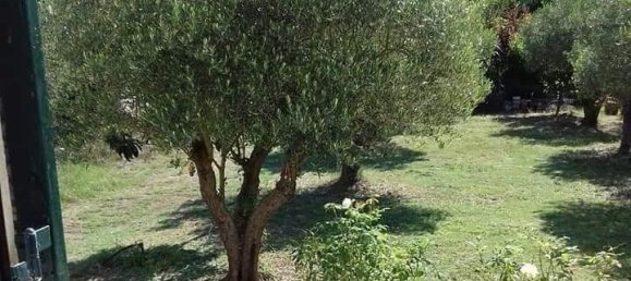 3 dormitorios propiedad comercial en venta en Chalkidiki, Central Macedonia, Macedonia and Thrace, Greece № 6032 24