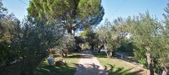 3 dormitorios propiedad comercial en venta en Chalkidiki, Central Macedonia, Macedonia and Thrace, Greece № 6032 4