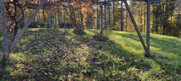 50m² Land in Bad Loipersdorf, Austria No. 129748 4