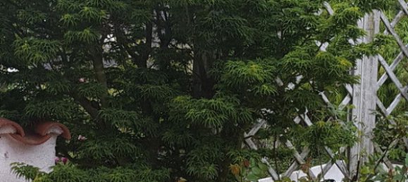 3 chambres Maison de ville à Aichach-Friedberg, Germany No. 217755 14