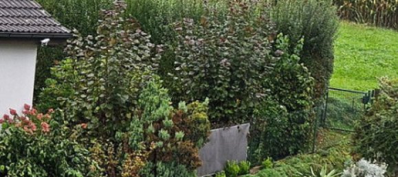 3 chambres Maison de ville à Aichach-Friedberg, Germany No. 217755 18