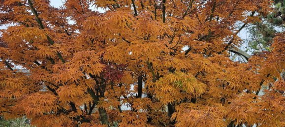 3 chambres Maison de ville à Aichach-Friedberg, Germany No. 217755 15
