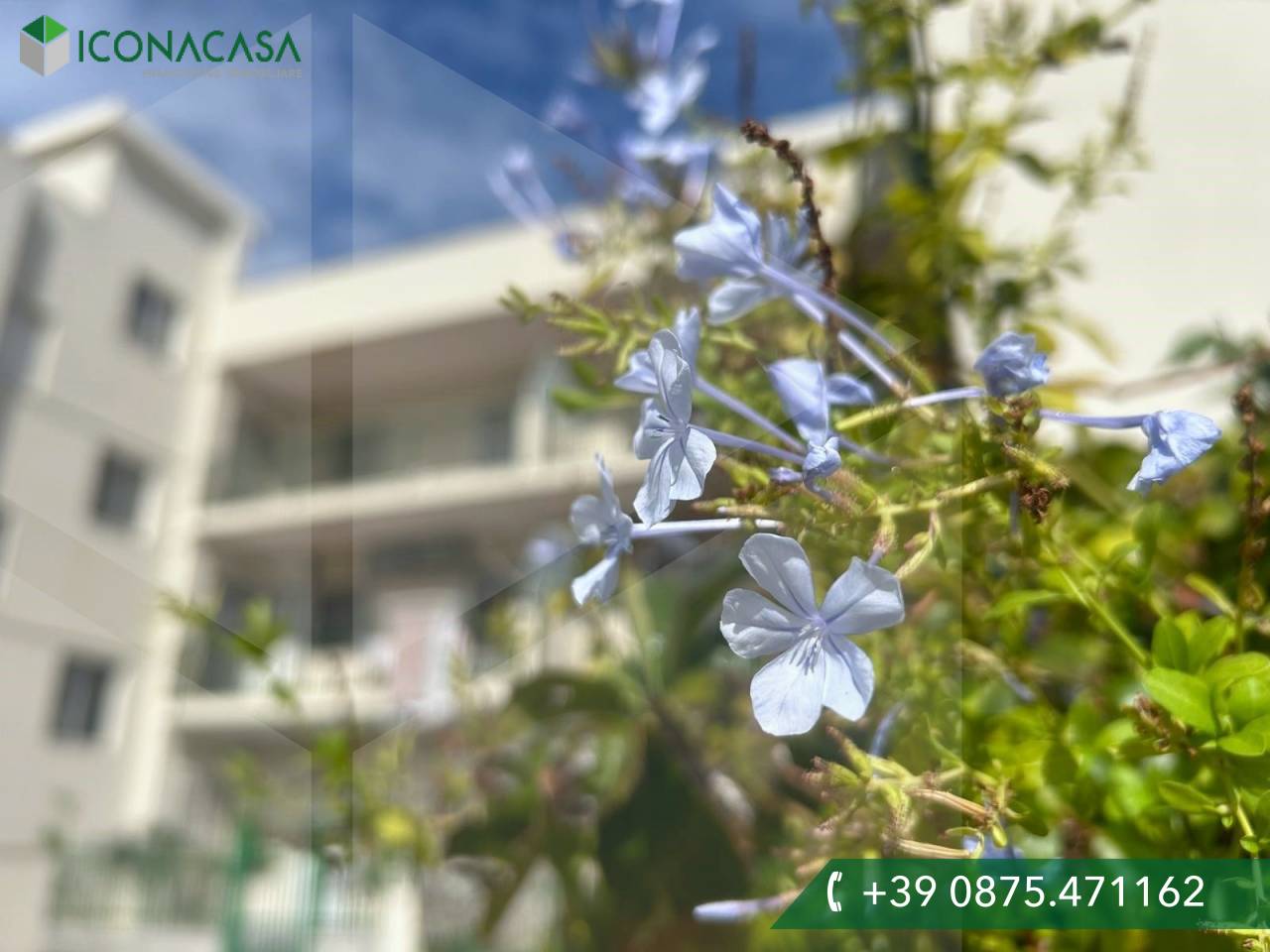 Apartamento de 3 divisões em Campomarino, Italy N.º 26619