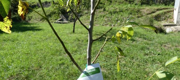 2 chambres Villa à Carro, Italy No. 294749 9