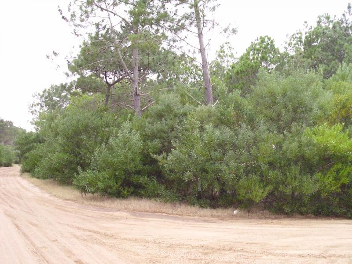  Land in Mar del Plata, Argentina No. 120989