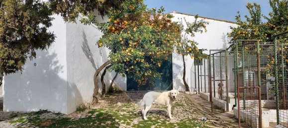 Casa de 5 dormitorios en Elvas, Portugal No. 164840 14