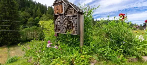 1 Schlafzimmer Wohnung in Waldshut, Germany, Nr. 69401 31