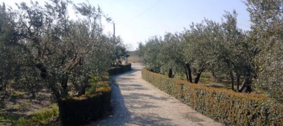 5 chambres Propriété commerciale à Chalkidiki, Greece No. 3345 14