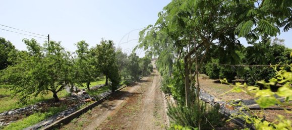 Casa T5 em Abrantes, Portugal N.º 178863 37