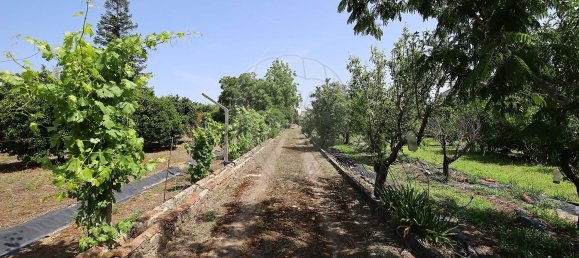 Casa T5 em Abrantes, Portugal N.º 178863 25