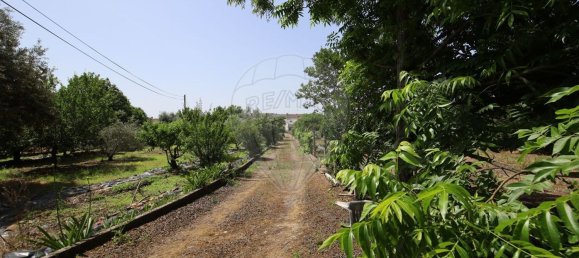 Casa T5 em Abrantes, Portugal N.º 178863 33