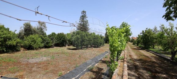 Casa T5 em Abrantes, Portugal N.º 178863 38