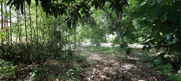 Casa T5 em Abrantes, Portugal N.º 178863 32